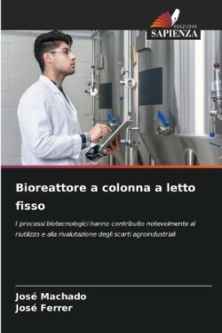 Bioreattore a colonna a letto fisso