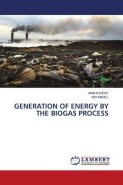 Generation of Energy by the Biogas Process