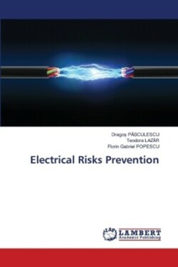 Electrical Risks Prevention