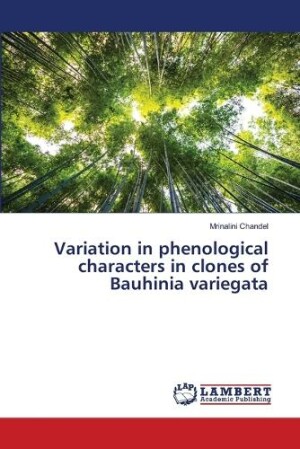 Variation in phenological characters in clones of Bauhinia variegata