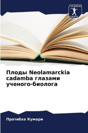 Плоды Neolamarckia cadamba глазами ученого-биолога