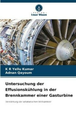 Untersuchung der Effusionskühlung in der Brennkammer einer Gasturbine