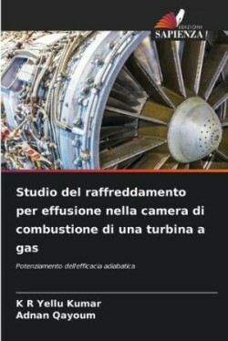 Studio del raffreddamento per effusione nella camera di combustione di una turbina a gas