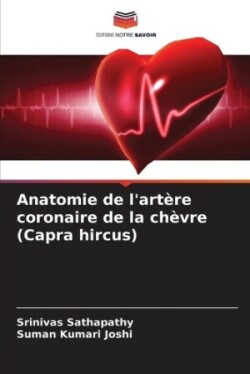 Anatomie de l'artère coronaire de la chèvre (Capra hircus)