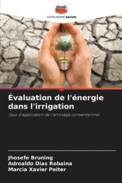 Évaluation de l'énergie dans l'irrigation