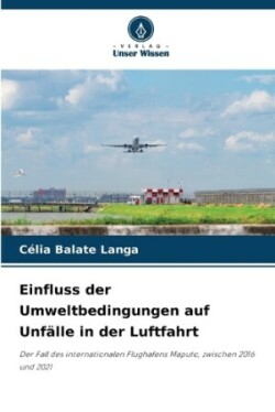 Einfluss der Umweltbedingungen auf Flugunfälle mit Vögeln