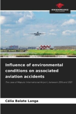 Influence of environmental conditions on aviation accidents involving birds