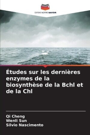 Études sur les dernières enzymes de la biosynthèse de la Bchl et de la Chl