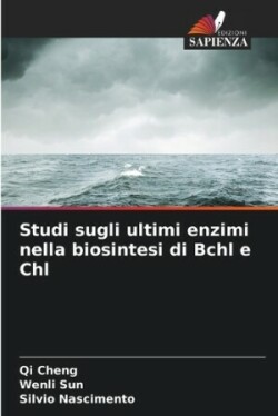 Studi sugli ultimi enzimi nella biosintesi di Bchl e Chl