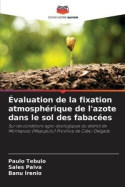 Évaluation de la fixation atmosphérique de l'azote dans le sol des fabacées