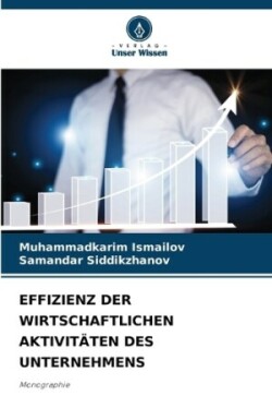 Effizienz Der Wirtschaftlichen Aktivitäten Des Unternehmens