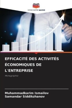 Efficacité Des Activités Économiques de l'Entreprise