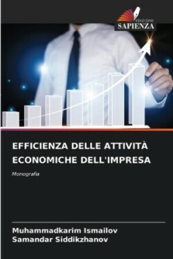 Efficienza Delle Attività Economiche Dell'impresa