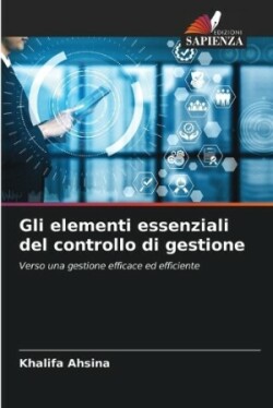 Gli elementi essenziali del controllo di gestione