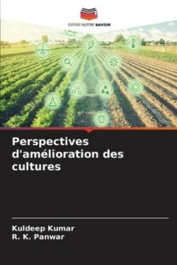 Perspectives d'amélioration des cultures