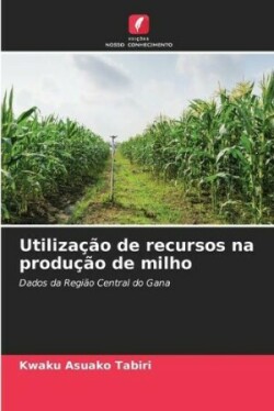 Utilização de recursos na produção de milho