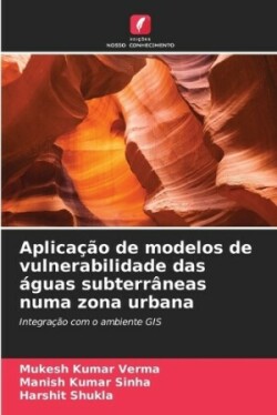 Aplicação de modelos de vulnerabilidade das águas subterrâneas numa zona urbana