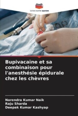 Bupivacaïne et sa combinaison pour l'anesthésie épidurale chez les chèvres