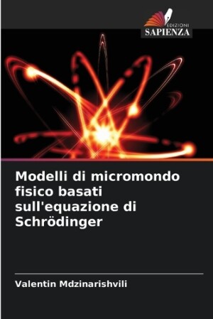 Modelli di micromondo fisico basati sull'equazione di Schrödinger