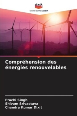 Compréhension des énergies renouvelables