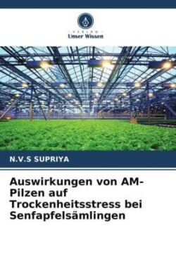 Auswirkungen von AM-Pilzen auf Trockenheitsstress bei Senfapfelsämlingen