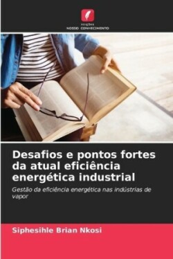 Desafios e pontos fortes da atual eficiência energética industrial