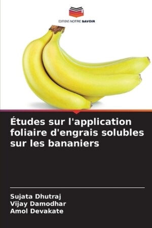 Études sur l'application foliaire d'engrais solubles sur les bananiers