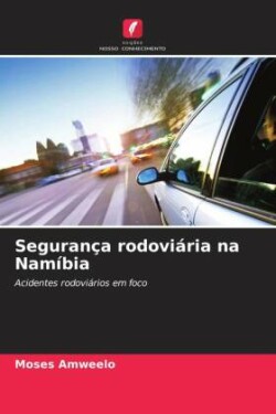 Segurança rodoviária na Namíbia