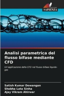 Analisi parametrica del flusso bifase mediante CFD