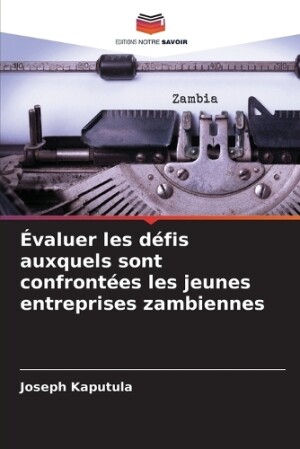 Évaluer les défis auxquels sont confrontées les jeunes entreprises zambiennes