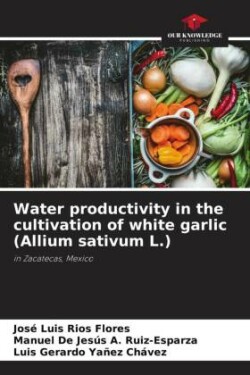 Water productivity in the cultivation of white garlic (Allium sativum L.)