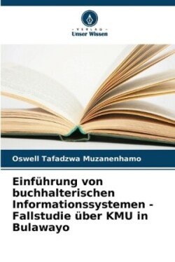 Einführung von buchhalterischen Informationssystemen - Fallstudie über KMU in Bulawayo