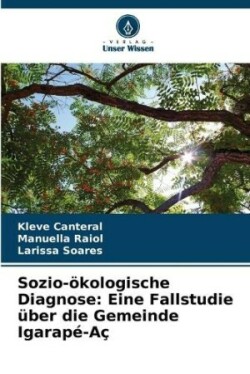 Sozio-ökologische Diagnose