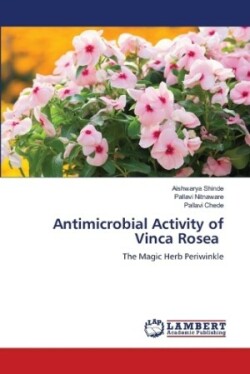 Antimicrobial Activity of Vinca Rosea