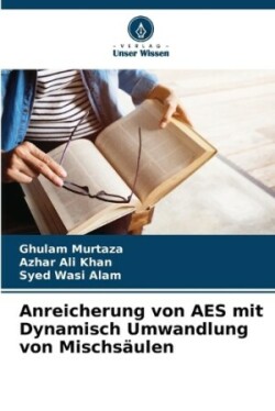 Anreicherung von AES mit Dynamisch Umwandlung von Mischsäulen