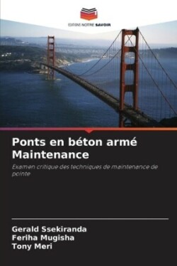 Ponts en béton armé Maintenance