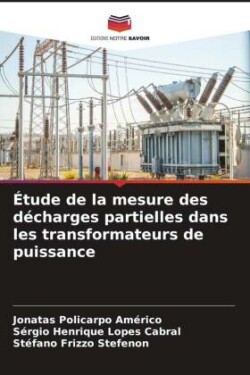 Étude de la mesure des décharges partielles dans les transformateurs de puissance