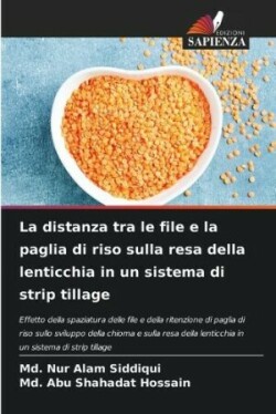 distanza tra le file e la paglia di riso sulla resa della lenticchia in un sistema di strip tillage