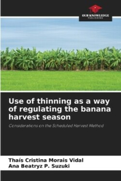 Use of thinning as a way of regulating the banana harvest season