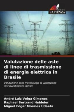 Valutazione delle aste di linee di trasmissione di energia elettrica in Brasile