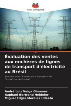 Évaluation des ventes aux enchères de lignes de transport d'électricité au Brésil