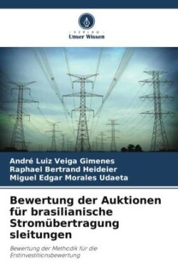 Bewertung der Auktionen für brasilianische Stromübertragung sleitungen