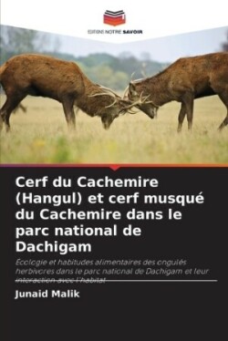 Cerf du Cachemire (Hangul) et cerf musqué du Cachemire dans le parc national de Dachigam