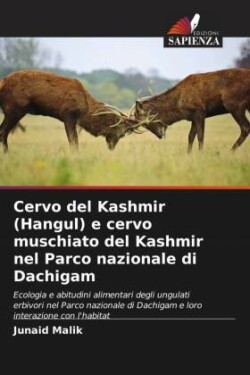 Cervo del Kashmir (Hangul) e cervo muschiato del Kashmir nel Parco nazionale di Dachigam