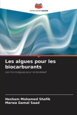 Les algues pour les biocarburants