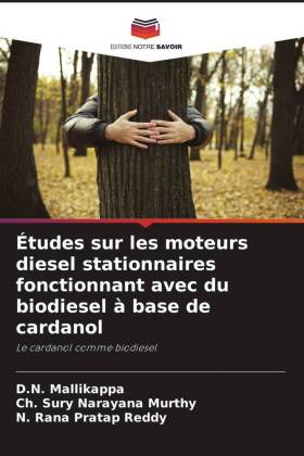 Études sur les moteurs diesel stationnaires fonctionnant avec du biodiesel à base de cardanol