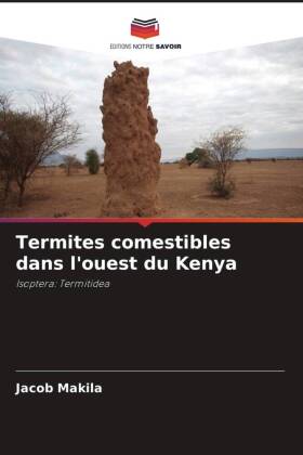 Termites comestibles dans l'ouest du Kenya