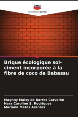 Brique écologique sol-ciment incorporée à la fibre de coco de Babassu