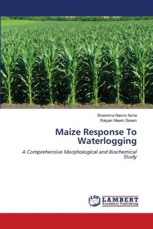 Maize Response To Waterlogging