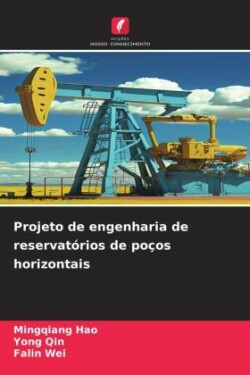 Projeto de engenharia de reservatórios de poços horizontais